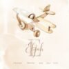 Old-Style Airplane - Personalized Watercolor Art Print